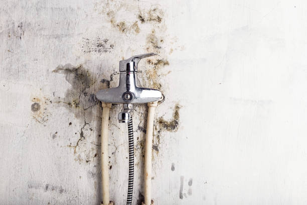 Best Industrial Mold Remediation in Delhi Hills, OH